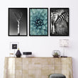 Large Picture Living Room | Set of 3 African Wildlife Wall art Prints