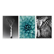 Large Picture Living Room | Set of 3 African Wildlife Wall art Prints