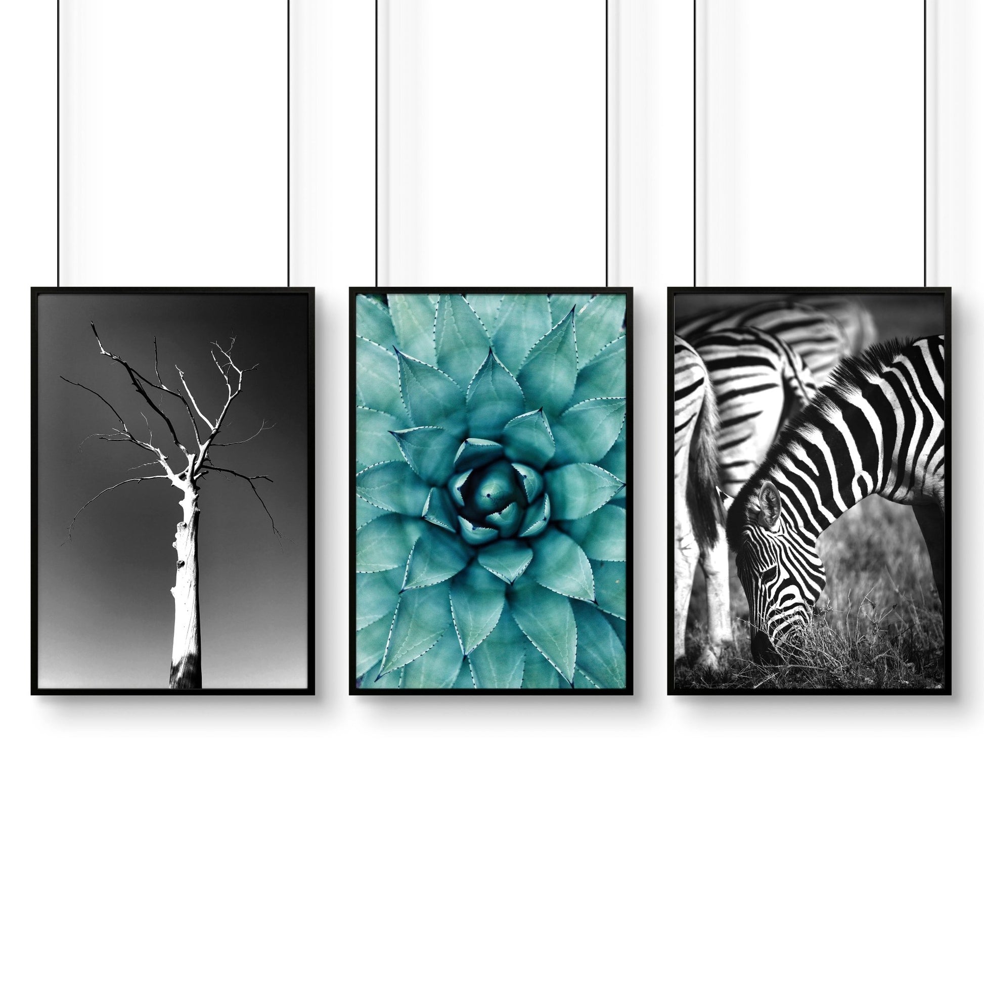 Large Picture Living Room | Set of 3 African Wildlife Wall art Prints