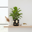 Yuri Large Ceramic Planter
