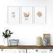 Laundry Room Wall Art | Set of 3 wall art prints