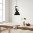 Lexington Black and Silver Pendant Light