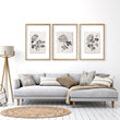 Living Room wall art French Country Botanical Chrysanthemum Beige & Black displayed on a wall in a styled room — view 11