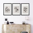 Living Room wall art French Country Botanical Chrysanthemum Beige & Black displayed on a wall in a styled room — view 9