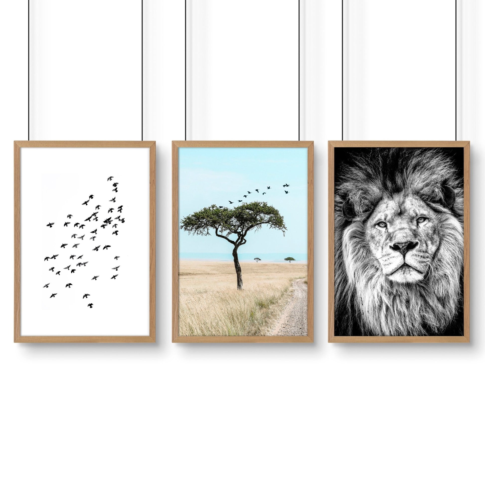 Living Room Wall Art Canvas | Set of 3 African Wildlife Wall art Prints