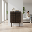 Lucca Recycled Dark Oak Cabinet