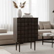 Lucca Recycled Dark Oak Cabinet