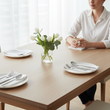 Modern Retro 16 Piece Matte Silver Cutlery Set