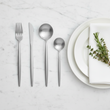 Modern Retro 16 Piece Matte Silver Cutlery Set