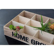 Naresso 12 Compartments Herbs Seed Crate