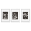 Nature Art Dark Botanical Wildflowers & Blossom Wall Art Prints | Set of 3