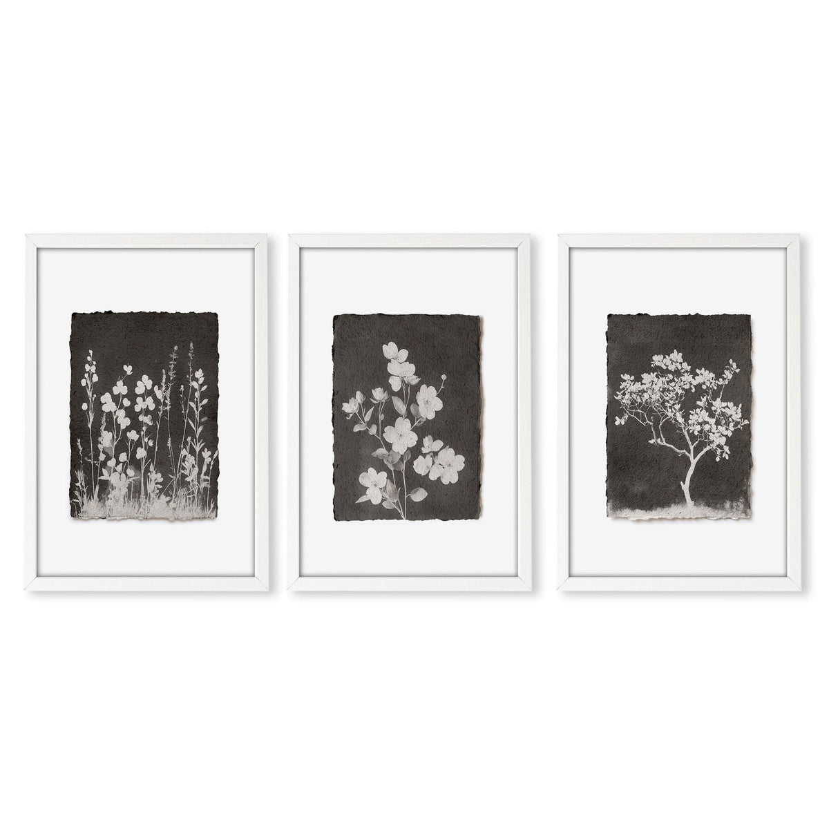 Nature Art Dark Botanical Wildflowers & Blossom Wall Art Prints | Set of 3