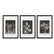 Nature Art Dark Botanical Wildflowers & Blossom Wall Art Prints | Set of 3