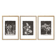 Nature Art Dark Botanical Wildflowers & Blossom Wall Art Prints | Set of 3