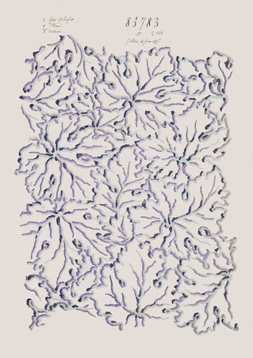 No.099 - Ethereal Leaves - Vintage Archive Poster Prints