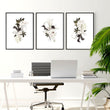 Office Wall Decoration Ideas | Set of 3 wall art prints