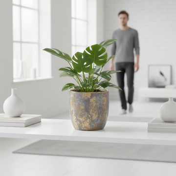 Orvena Large Ceramic Pot