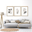 Paintings in Living Room French Country Botanical Ivory Grey Floral wall art displayed on a wall in a styled room — view 11