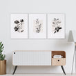 Paintings in Living Room French Country Botanical Ivory Grey Floral wall art displayed on a wall in a styled room — view 12