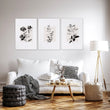 Paintings in Living Room French Country Botanical Ivory Grey Floral wall art displayed on a wall in a styled room — view 14