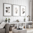 Paintings in Living Room French Country Botanical Ivory Grey Floral wall art displayed on a wall in a styled room — view 5