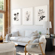 Paintings in Living Room French Country Botanical Ivory Grey Floral wall art displayed on a wall in a styled room — view 8