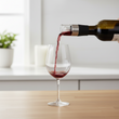 Patrin Wine Aerator Pourer