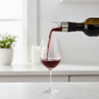 Patrin Wine Aerator Pourer