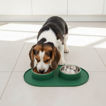 Pet Anti-skid Anti-splash Silicone Stainless Steel Bowl For Pet