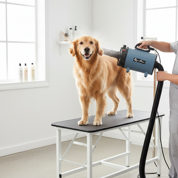 Pet Water Blowing Machine Dog Hairdryer High Power Mute Large Dog and Cat Special Drying and Blowing Artifact