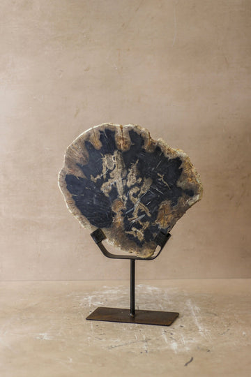 Petrified Wood Display - No 6