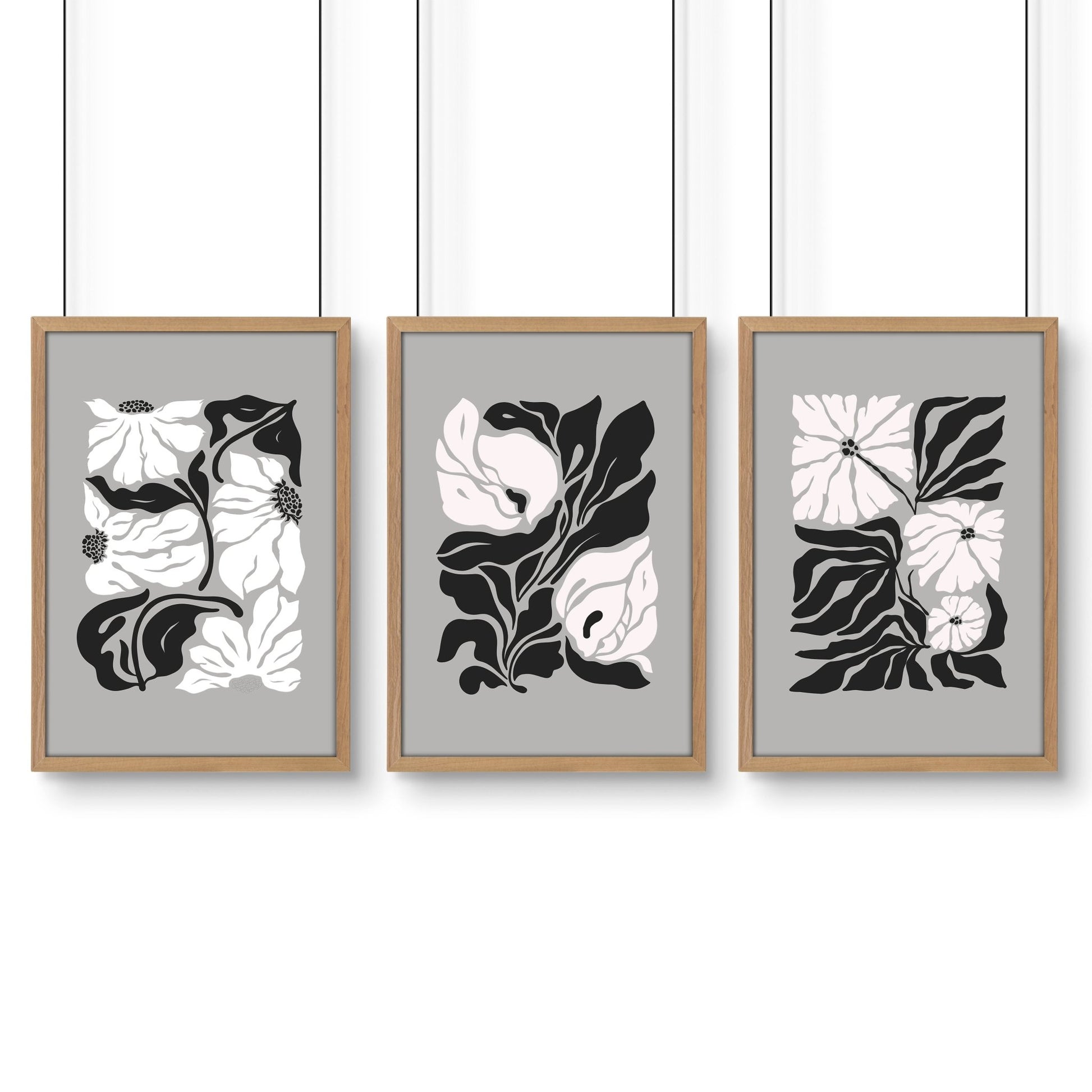 Pictures For Living Room | Set of 3 Botanical Wall art Prints