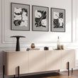 Pictures For Living Room | Set of 3 Botanical Wall art Prints