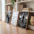 Pictures for the Living Room Wall Black & White Wildlife Safari Art wall art — Elephants, Birds & Zebra displayed on a wall in a styled room — view 2