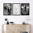 Pictures for the Living Room Wall Black & White Wildlife Safari Art wall art — Elephants, Birds & Zebra displayed on a wall in a styled room — view 5