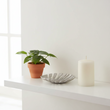 Prato Monstera Small Silver Finish Leaf Dish
