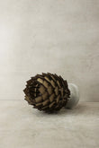 Protea Table Lamp S