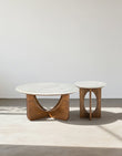 Ranjit Round Nesting Coffee Table Set, Marble & Wood