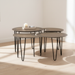 Rany Set Of 4 Coffee Tables