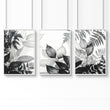 Reception Decoration | Set of 3 Botanical Wall art Prints