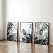 Reception Decoration | Set of 3 Botanical Wall art Prints