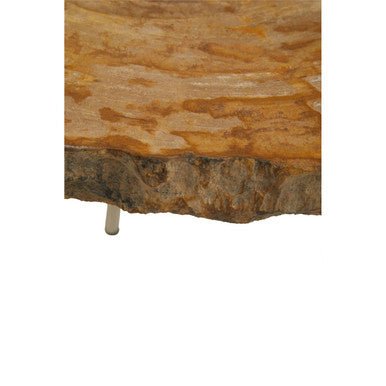 Relic Medium Petrified Wood Side Table