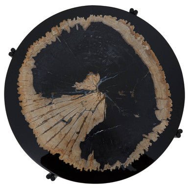 Relic Petrified Wood and Resin Side Table