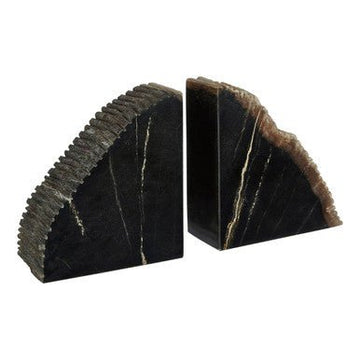 Relic Petrified Wood Bookend