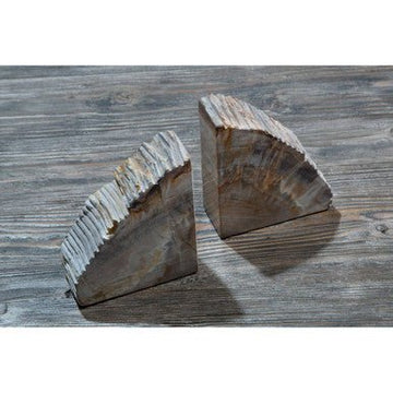 Relic Petrified Wood Bookend