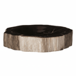 Relic Petrified Wood Bowl