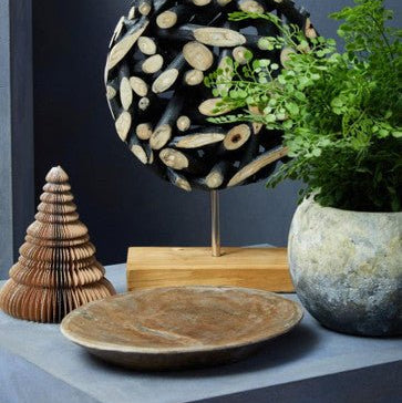 Relic Petrified Wood Large Bowl