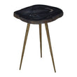 Relic Side Table With Petrified Wood Top and Brass Finish Legs