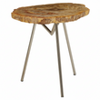 Relic Large Petrified Wood Side Table