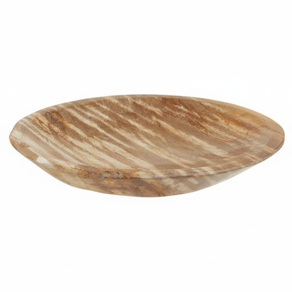 Relic Petrified Wood Small Bowl